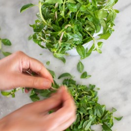 Évora Aromatic farm tour