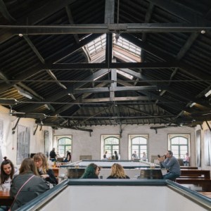 Port Wines Blind Tasting