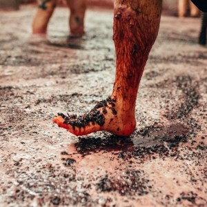 grape stomping douro tour