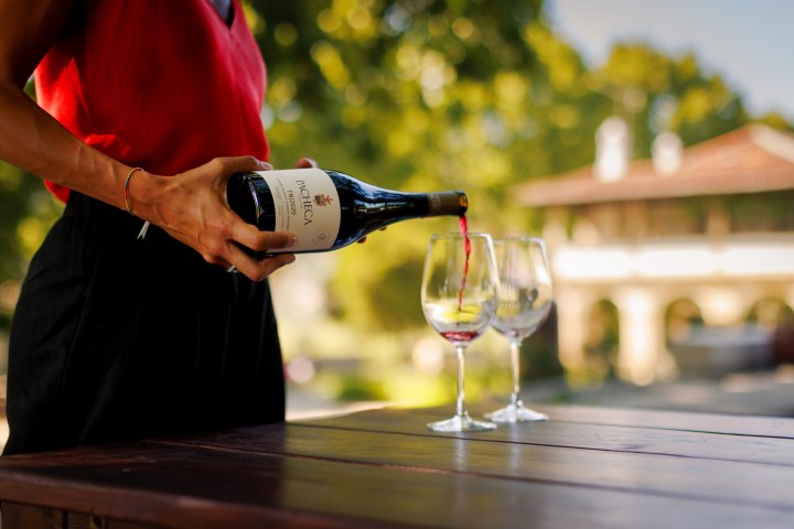 lamego wine tasting