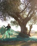 Évora olive oil tour