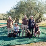 Évora olive oil tour