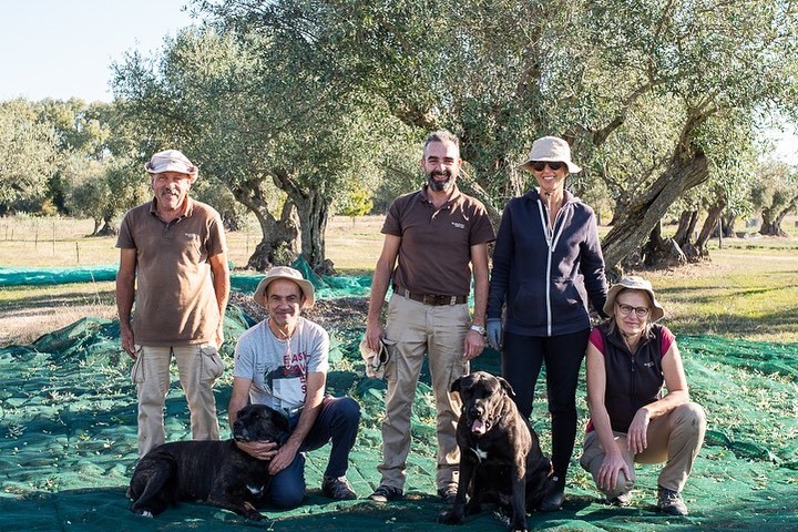 Évora olive oil tour