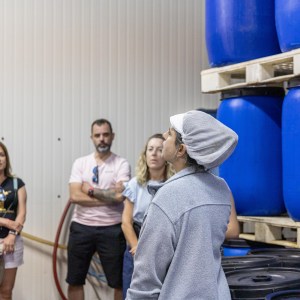 Tavira olive oil tour