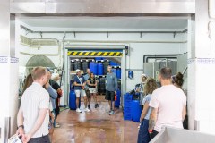 Tavira olive oil tour