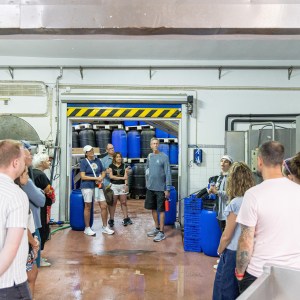 Tavira olive oil tour