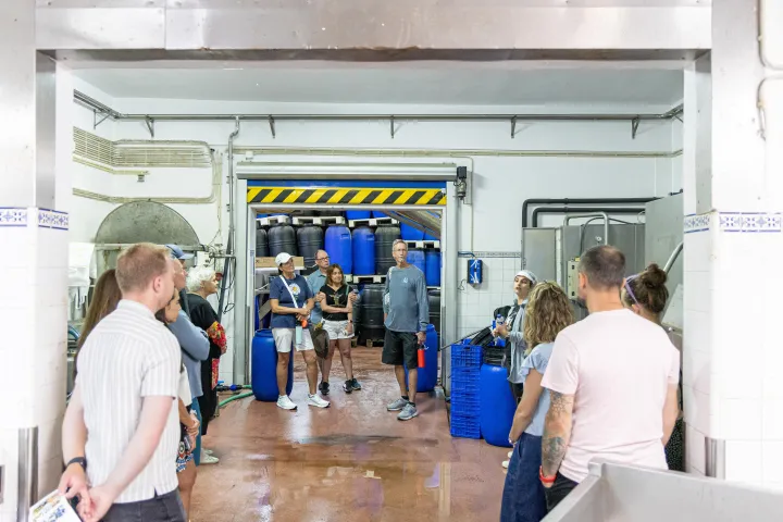 Tavira olive oil tour