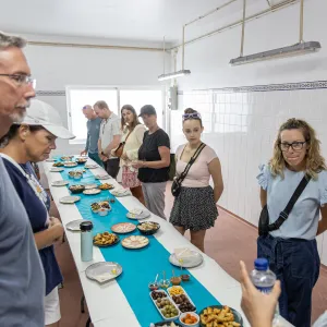 Tavira olive oil tour