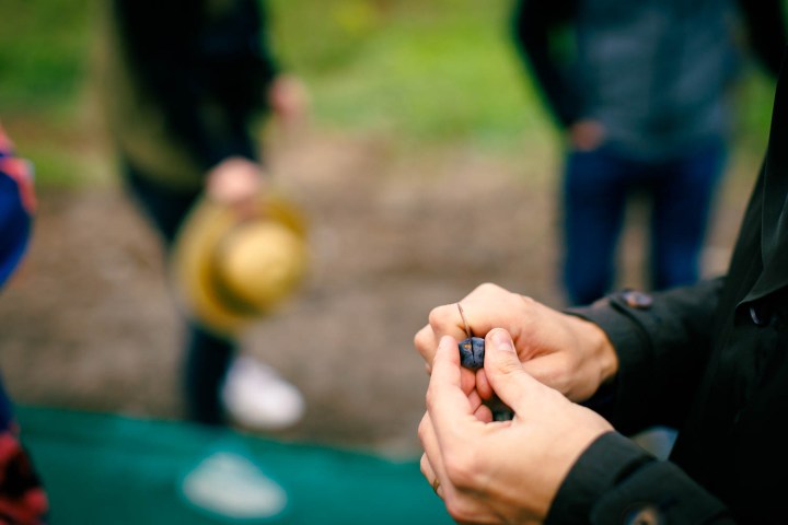 Douro olive oil harvest