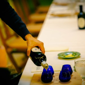 Douro olive oil harvest