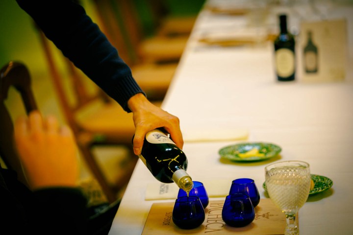 Douro olive oil harvest