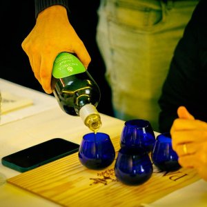 Douro olive oil harvest