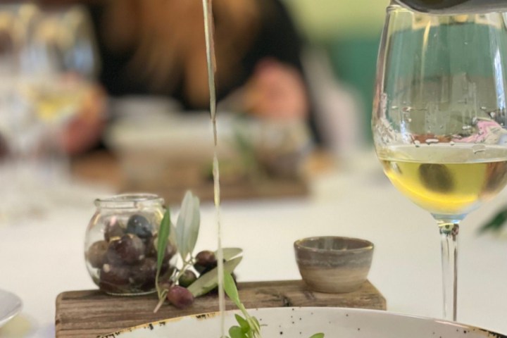 Douro olive oil harvest