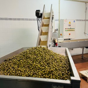 Tavira olive oil tour