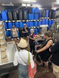 Tavira olive oil tour