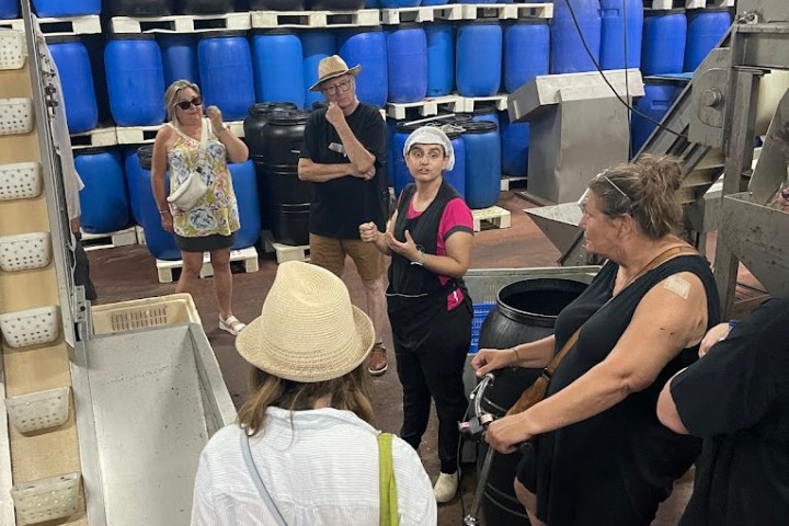 Tavira olive oil tour