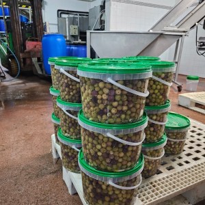 Tavira olive oil tour