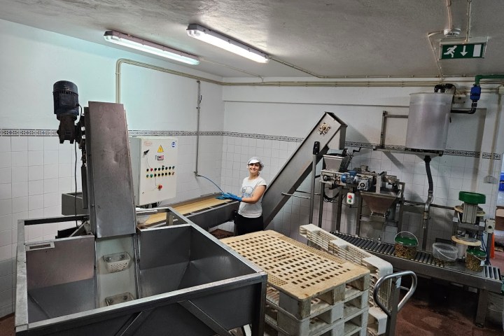 Tavira olive oil tour