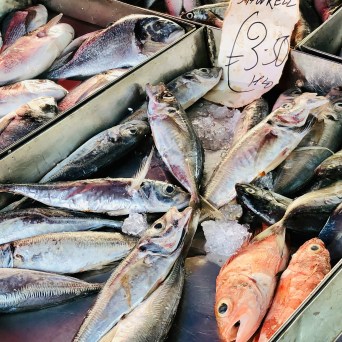 market tour and cooking class algarve