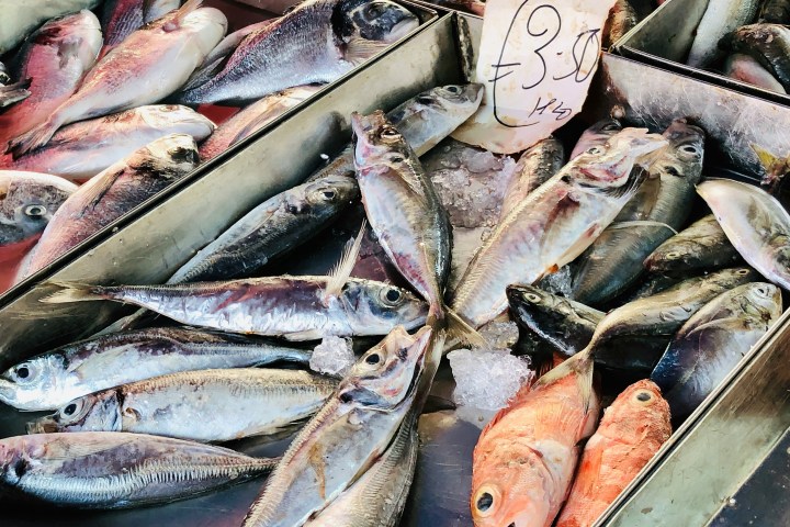 market tour and cooking class algarve