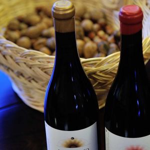 portalegre wine tasting