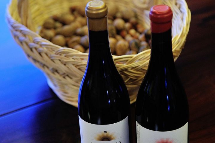 portalegre wine tasting