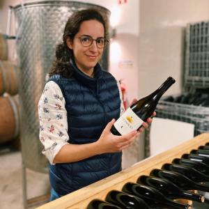 portalegre wine tasting