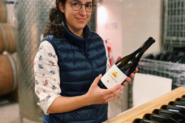 portalegre wine tasting