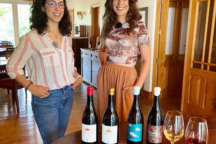 portalegre wine tasting