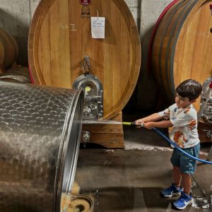 portalegre wine tasting