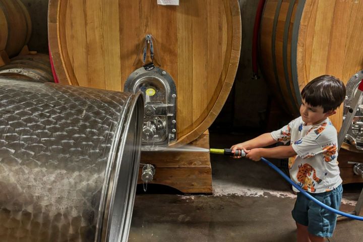 portalegre wine tasting