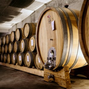 portalegre wine tasting