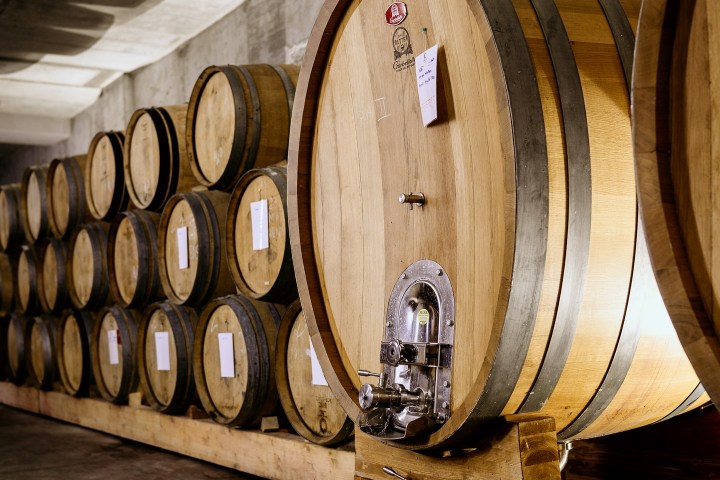 portalegre wine tasting