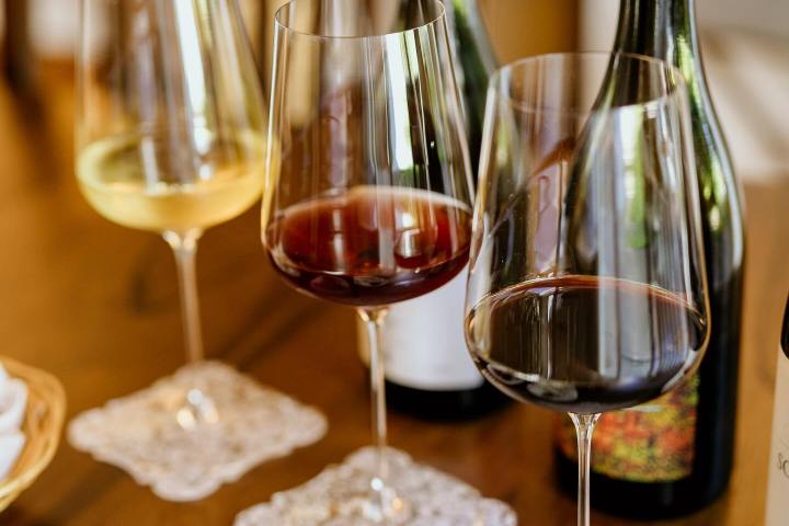 portalegre wine tasting