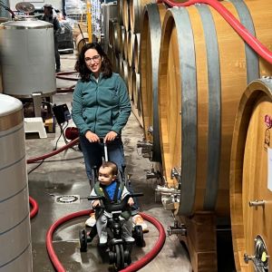 portalegre wine tasting