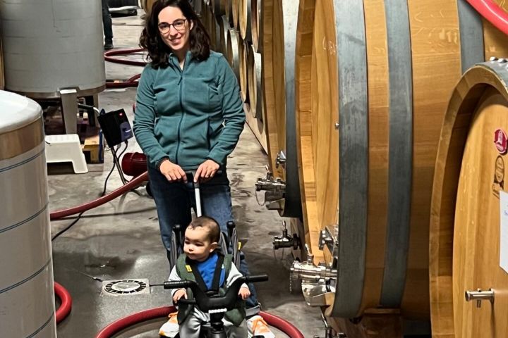 portalegre wine tasting