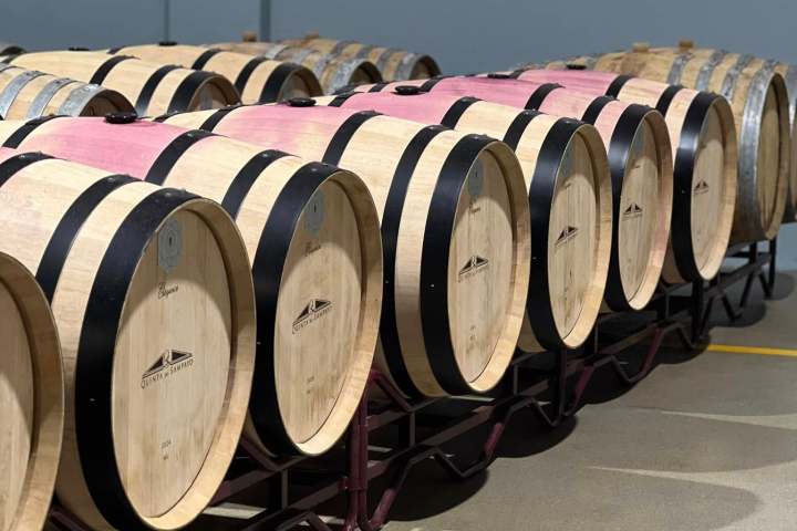 cartaxo wine tasting