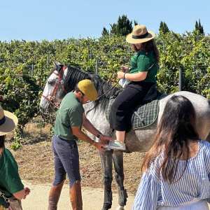 cartaxo wine tasting