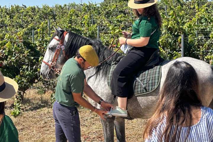 cartaxo wine tasting