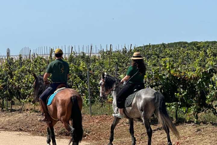 cartaxo wine tasting