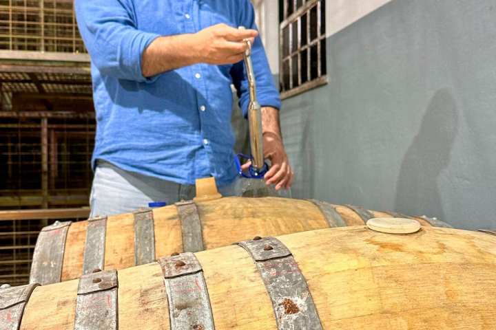 cartaxo wine tasting