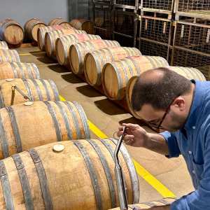 cartaxo wine tasting