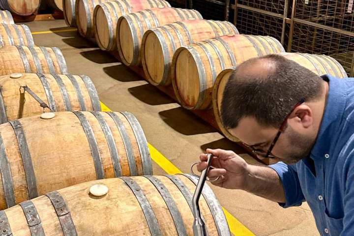 cartaxo wine tasting