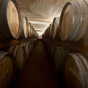 cartaxo wine tasting