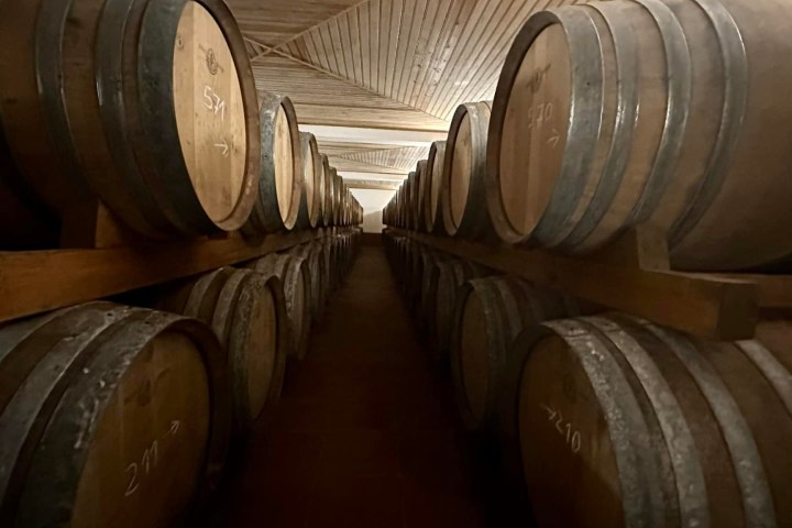 cartaxo wine tasting