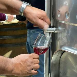 cartaxo wine tasting