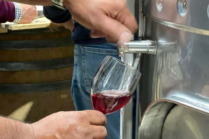 cartaxo wine tasting