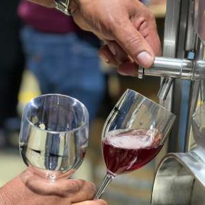 cartaxo wine tasting