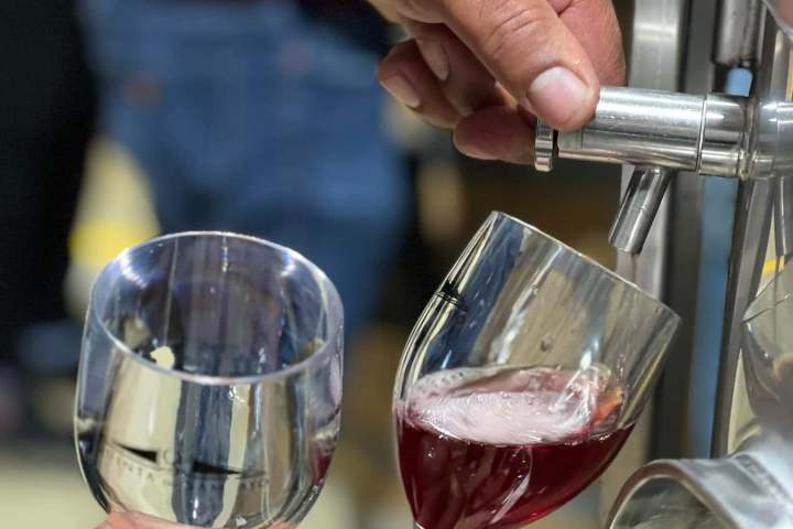cartaxo wine tasting