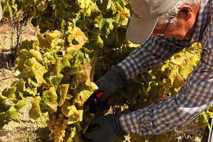 cartaxo wine tasting